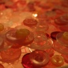 button lightbox, detail