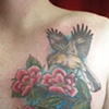 Bird and roses