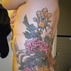 Bunnies and Peonies
