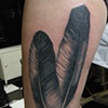 Power of feathers
