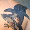 Anthony's falcon