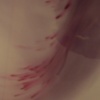dye bath