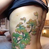Josie's ginko