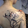 Winter Birds ( seagull outline not by me)