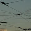 street lines