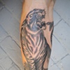 Andrew's tiger add on, more to come