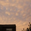 Peach and Mauve