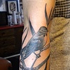 Kendra's bird and grass
