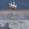 left behind