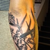 Kendra's bird and grass