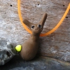 Rabbity Guy