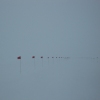 Road to Nowhere...