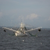 Crossing the Gulf