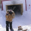 Honey Bears Down at the South Pole