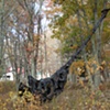 Art on the land
