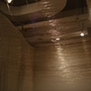 The Perception of Memory.  2008.