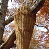Art on the land