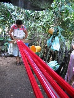 Rosa Weaving #2