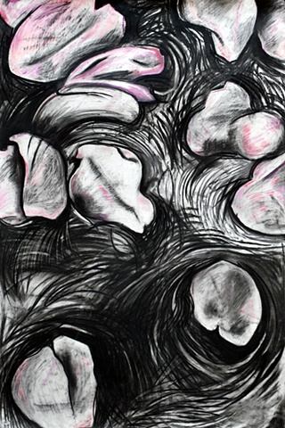 Petals on Potomac