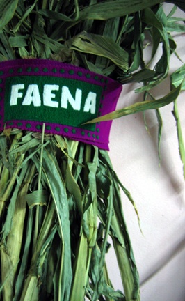 Faena Faja