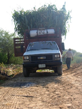 Loading the truck in South Puebla State