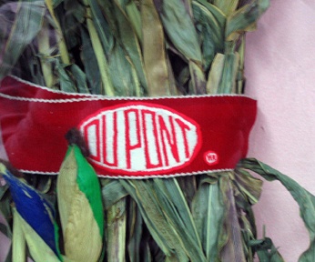 DuPont Faja