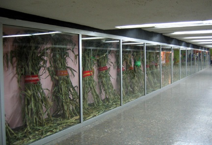Installation View, Metro Alameda, Left Side