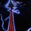 Big Cedar V