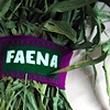Faena Faja