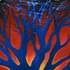 Blue Tree
