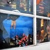 Marcia's Window, Detail