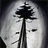 Big Cedar II