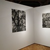 Seeds & Weeds and Cherry Blossom Tree @ Rendered, Prescott College