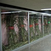Installation View, Metro Alameda, Left Side