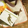 Barnes & Noble product shot: Kangaroovy journal and messenger bag