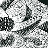 Magnolia Grandiflora