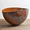 Folded Bowl

[catalog #1004-62]

2010

