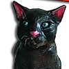 THE BLACK CAT