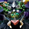 THE ANIMAL MASTER
