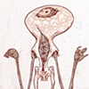 The stranger Girt