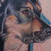 Chucks Dog
