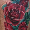 Rose's for shannon