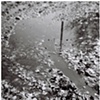 Reflective Puddle