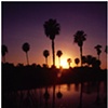 Florida Silhouette