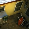 Color Images