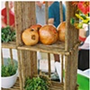 veggie display