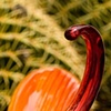Chihuly - 3