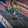 tabletop flowers