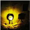 Light Bulb Decay