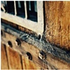 A Spider's Web